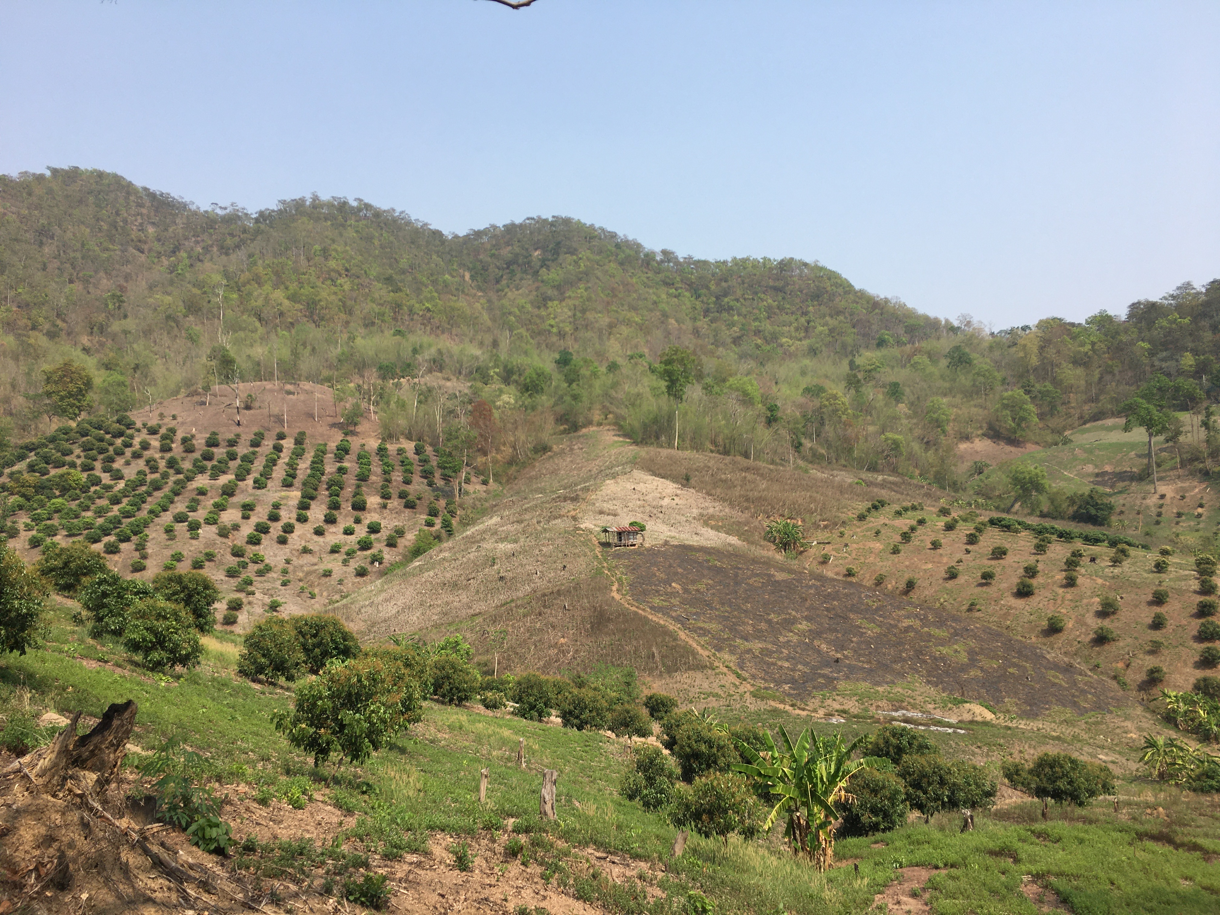 Foto: Helle L&oslash;vst&oslash; Severinsen / IWGIA